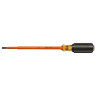 6017inskle Klein Tools Insulated Cabinet Tip Screwdriver With Shank 691038578175