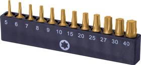 Nw-19001 Nordwolf 12-piece Torx Bit Set S2 Alloy Steel And Titanium T5 To T40 Golden