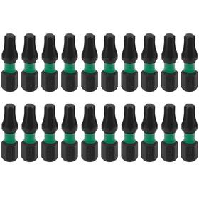 T25-25mm-20-de Paya Tools T25 Security Bit Set - 10-piece Tamper-proof Torx Driver Kit With Magnetic Ha