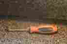 Spro10c Matcp 3-1 2 X T10 Screwdriver Orange Torx New
