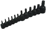 Lisle 27200 12 Piece Torx Bit Set, United States. Fixed Price $109.73.