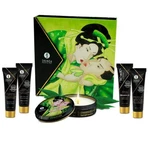 Geisha Secret Kit Exotic Green Tea. Fixed Price $43.48.