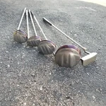 Nancy Lopez Erinn Zenith Golf Club Set Rh Driver Woods Putter Fame. Fixed Price $99.99.