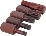 5PCS Torx Spline Screwdriver Bits 10MM Hex Shank 30MM S2 Steel Tool Set. Fixed Price $14.43.