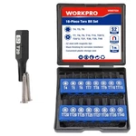 Workpro 16PIECE Magnetic Torx Screwdriver Bit Security Set Tamper Proof. Fixed Price $19.99.