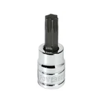Powerbuilt 3/8 Inch Drive T-50 Torx Bit Socket 641404. Fixed Price $12.00.