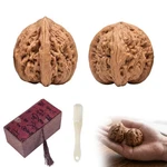 Walnut, Walnuts Fidget Set, Hand Exercise Tool, With P.... Fixed Price $25.32.