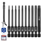 Workpro 10PC Security Torx Bit Set W/magnetic Tips 3" Long Tamper Proof. Fixed Price $20.99.