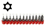 Alazco Multifunction Tamper Proof 6-POINT Star Torx Bit Set (13PC). Fixed Price $9.99.