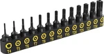 Lexivon 13-PIECE Tamper Resistant Star Bits, Premium S2 Alloy Steel, T4 -.... Fixed Price $13.98.