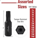 Bates Tamper Proof Torx Bit Set 13 Piece T4-T40 Security. Fixed Price $9.95.