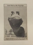 Hoyt Wilhelm Knuckleball Grip Orioles 1959 Sporting News Baseball 4X6 Panel. Fixed Price $16.00.