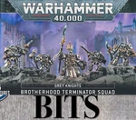 Warhammer 40K Marine Grey Knights Brotherhood Terminators Squad Paladin Bits. Fixed Price $12.00.