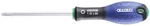 Expert By Facom E160510 Torx Screwdriver T30 125MM. Fixed Price $15.18.
