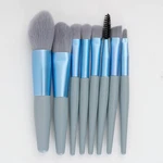 Makeup Set, Premium Synthetic 8 Pcs Brushes, Travel. Fixed Price $24.99.