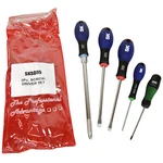 Tools SKSD05 5-PIECE Torx, Flat, And Phillips Screwdriver Set With Suregrip. Fixed Price $22.95.