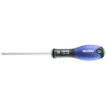 Expert By Facom E160601 Tamper Proof Torx Screwdriver TT27 100. Fixed Price $14.79.